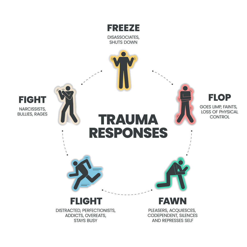 Fight, Flight, Freeze, Fawn, and Flop Trauma Responses